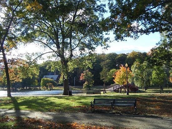 Elm Park 5